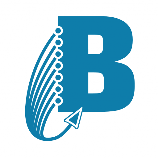 Cropped bcalogo b png bay computer associates